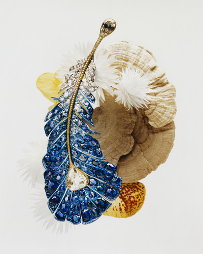 Times Luxx - © Lambert | Lambert