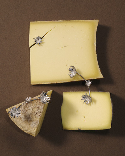 A Swiss Case Study - © Lambert | Lambert