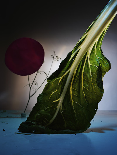 FoodCulture days - © Lambert | Lambert