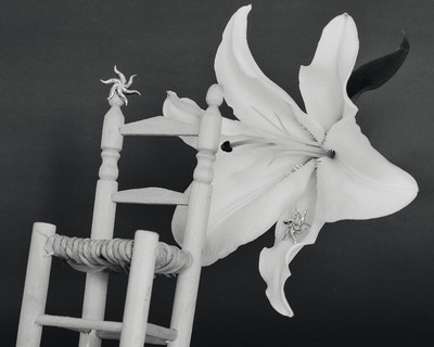 Imminent Fantasma - © Lambert | Lambert