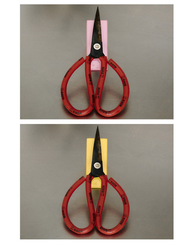 Nara Little Family - © Lambert | Lambert