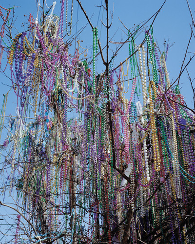 Spare No Expense - © Lambert | Lambert