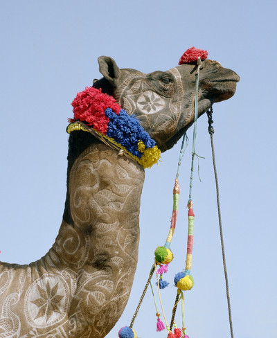 Spare No Expense - © Lambert | Lambert