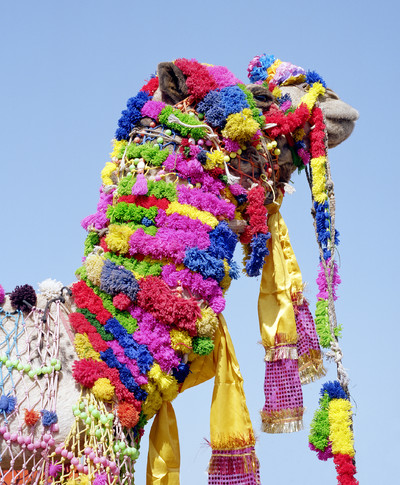 Spare No Expense - © Lambert | Lambert