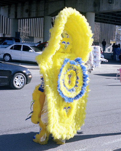 Spare No Expense - © Lambert | Lambert