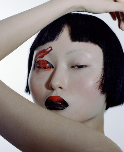 Beauty and still life - Insects - © Lambert | Lambert