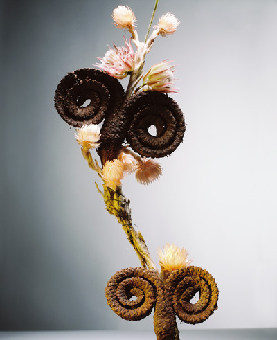 Still Life IV - © Lambert | Lambert