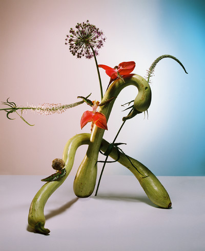 Still Life V - © Lambert | Lambert