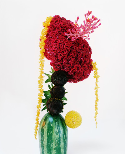 Still Life V - © Lambert | Lambert