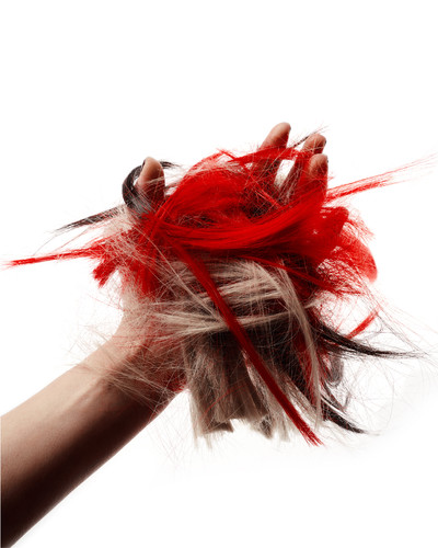 HARI’s, A Bond Rooted in Trust - © Lambert | Lambert