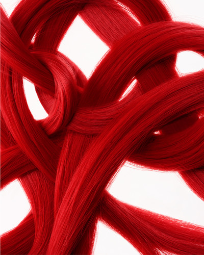 HARI’s, A Bond Rooted in Trust - © Lambert | Lambert