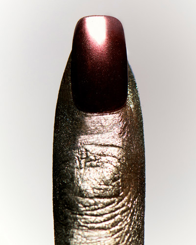 Morpho Menelaus with Eva Wang - © Lambert | Lambert