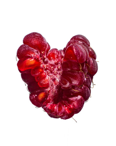 The Nue Co. - Sivan Molokorosshianu - © Lambert | Lambert