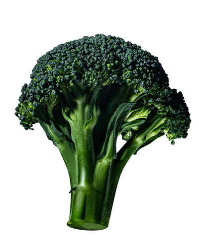 The Nue Co. - Sivan Molokorosshianu - © Lambert | Lambert