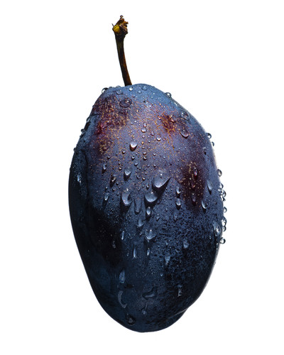 The Nue Co. - Sivan Molokorosshianu - © Lambert | Lambert