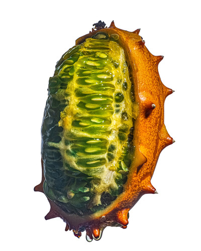 The Nue Co. - Sivan Molokorosshianu - © Lambert | Lambert