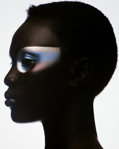 Morpho Menelaus with Clay Studio - © Lambert | Lambert