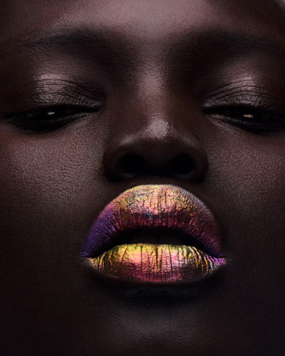 Morpho Menelaus with Clay Studio - © Lambert | Lambert