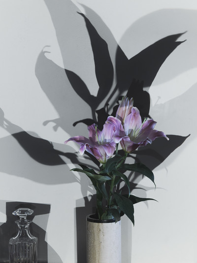 DapperDan 3 - © Lambert | Lambert