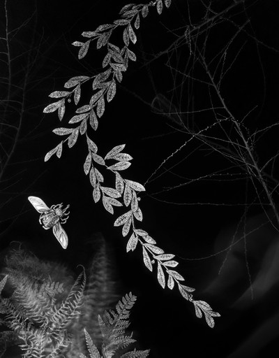 Fujingaho x Boucheron - © Lambert | Lambert