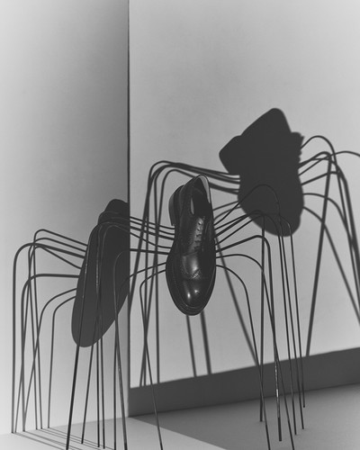 Weston Spiders - © Lambert | Lambert