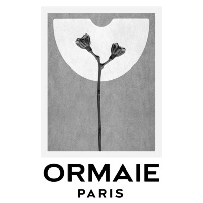 ORMAIE - © Lambert | Lambert
