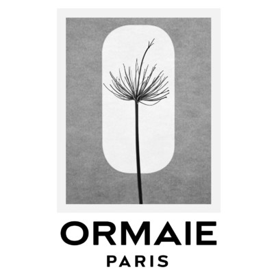 ORMAIE - © Lambert | Lambert