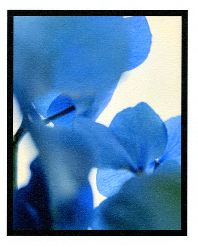 ORMAIE - © Lambert | Lambert