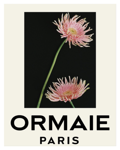 ORMAIE - © Lambert | Lambert