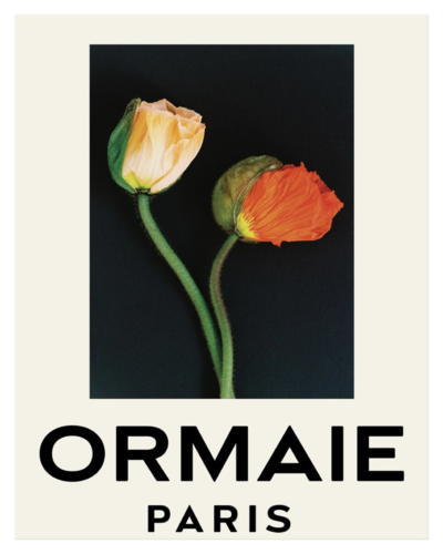 ORMAIE - © Lambert | Lambert