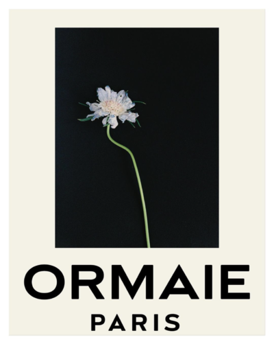 ORMAIE - © Lambert | Lambert