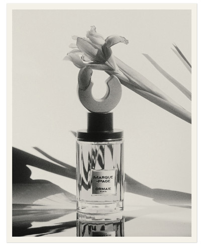 ORMAIE - © Lambert | Lambert