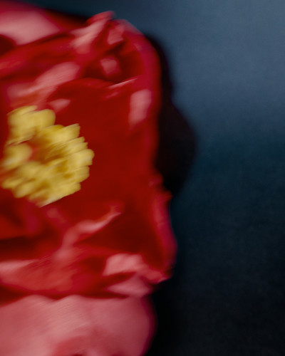 Atelier Cologne - © Lambert | Lambert