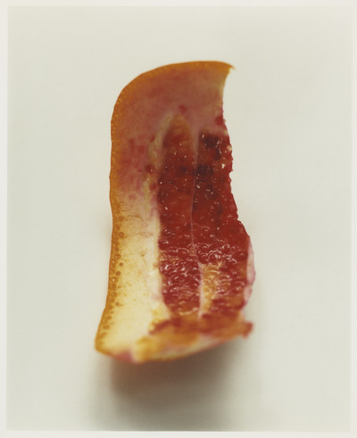 ATELIER COLOGNE - © Lambert | Lambert