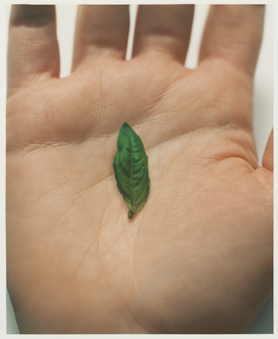 ATELIER COLOGNE - © Lambert | Lambert