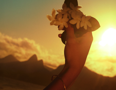 MMF - Chasing Sunset - © Lambert | Lambert