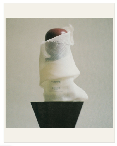 ORMAIE - © Lambert | Lambert