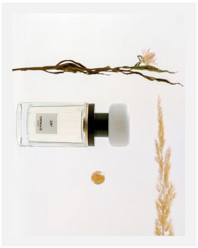 ORMAIE - © Lambert | Lambert