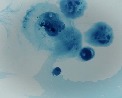 Bleu - Étude de nuances N°1 - © Lambert | Lambert