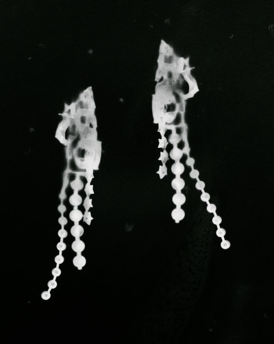 L’Officiel USA - © Lambert | Lambert