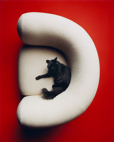 M le Monde - © Lambert | Lambert