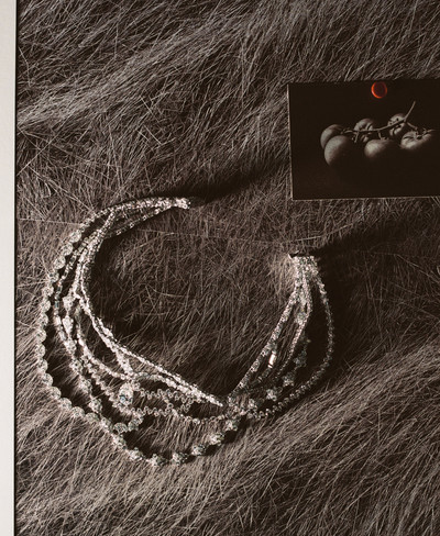 M le Monde - © Lambert | Lambert