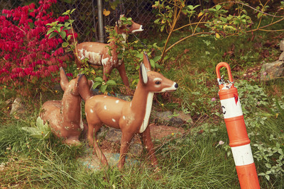 Hope II Krypto Dreams - © Lambert | Lambert