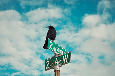 The other end of the rainbow - © Lambert | Lambert