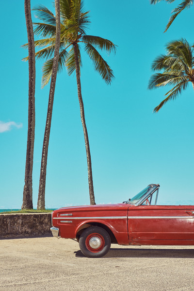 Tiki Hangover - © Lambert | Lambert