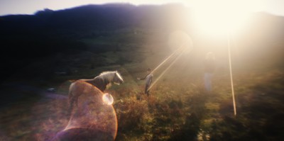 Ange Halliwell - Lands of my dream - © Lambert | Lambert