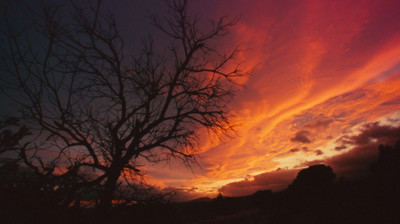 Pablo Altar - Tales Of - © Lambert | Lambert