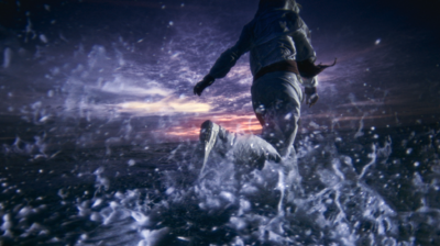 Shoreline - © Lambert | Lambert