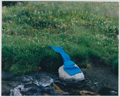 Gerbase - © Lambert | Lambert