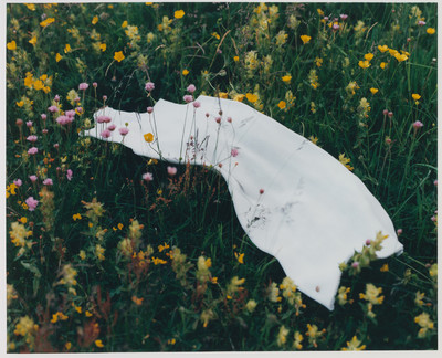 Gerbase - © Lambert | Lambert